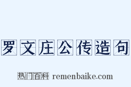 罗文庄公传造句是什么意思的图片